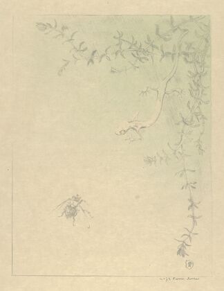 The Salamander (La Salamandre) (1895)
