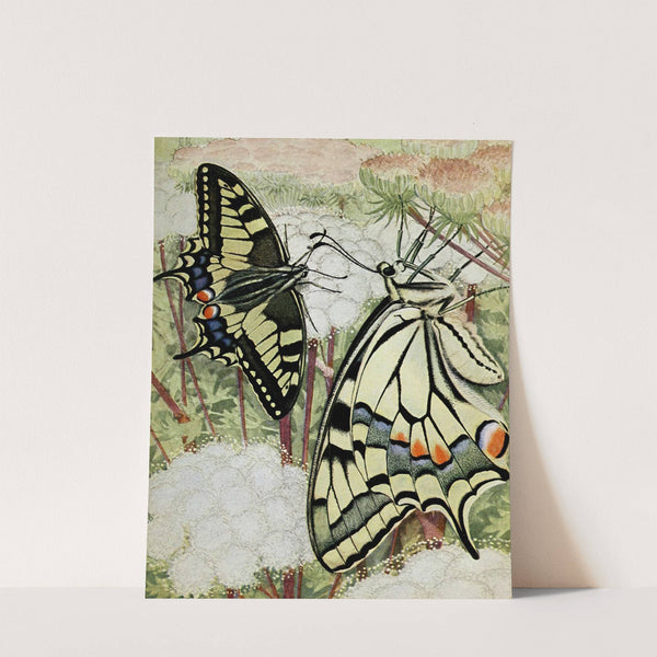 Le Machaon (1934) by Paul-Andre Robert