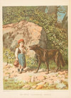 Le petit chaperon rouge