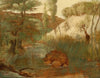 Le sanglier
