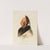 Le Soldat Du Chene, An Osage Chief (1838) by Charles Bird King