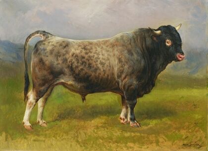 Le taureau gris
