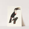 Le Tocards. by Jacques Barraband