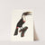 Le Tocards. by Jacques Barraband