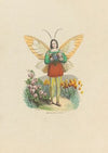 Le triomphe de cypris (1852)