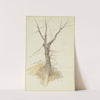 Leafless tree by Stephan Rauh