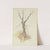 Leafless tree by Stephan Rauh