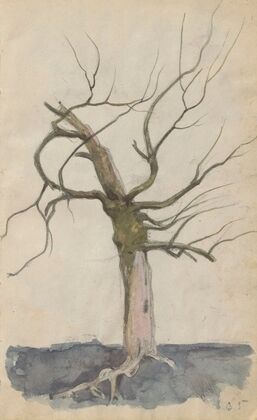 Leafless tree (1885)