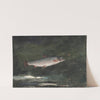 Leaping Trout (1889) by Winslow Homer