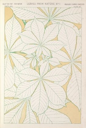 Leaves from Nature No.1 — size preview