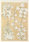 Leaves from Nature No.3