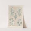 Leaves from Nature No. 7 (1856) by Owen Jones