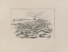 Leaves of ‘Victoria Regia’ (1882-1886)