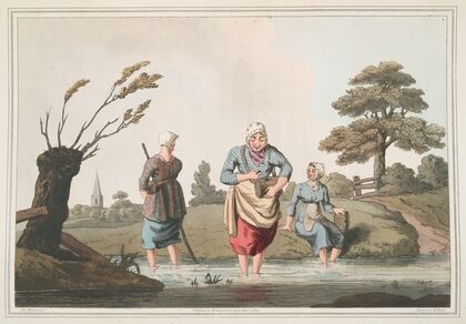 Leech finders, Plate 35