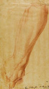 Left Arm of a Hunter