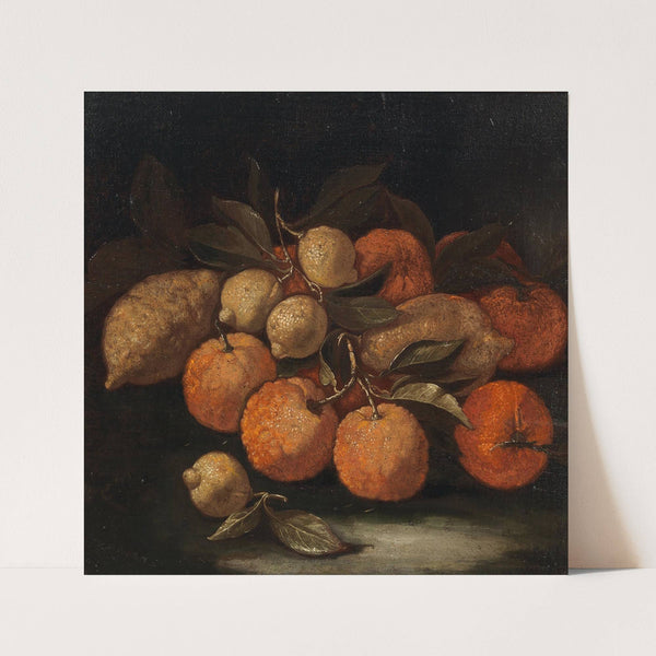 Lemons, oranges and citrons by Lionelli