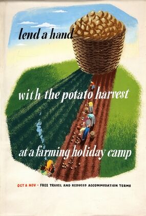 Lend a hand with the potato harvest at a farming holiday camp