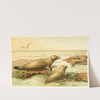 Leopard Seal (1893-1896) by Pierre Jacques Smit