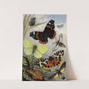 Lepidoptera by William Houghton