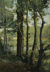 Les Evaux, prÃ¨s ChÃ¢teau-Thierry, chemin bordÃ© d’arbres