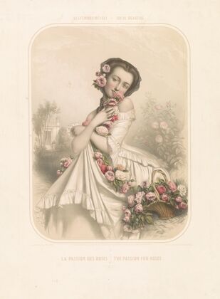 Les femmes révées–ideal beauties. La passion des roses–the passion for roses (1851)