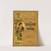 Les huiles d’olive de Provence (1906)