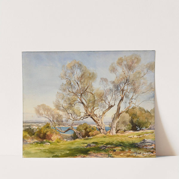 Les oliviers. Cap d&#039;Antibes by Jean-Henri Zuber