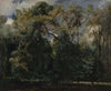 Les ormes de Saint-Cloud (1823)