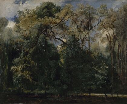 Les ormes de Saint-Cloud (1823)