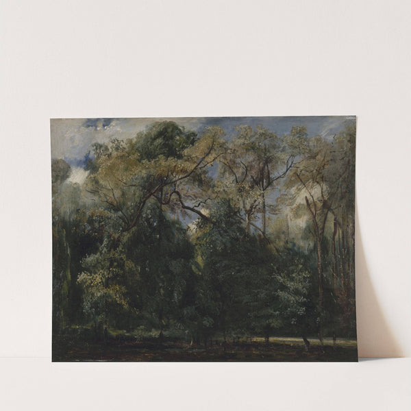 Les ormes de Saint-Cloud (1823) by Paul Huet