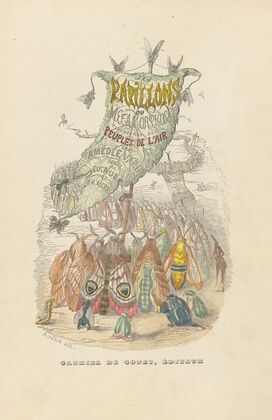Les papillons, ou metamorphoses terrestres des peuples de l’air (1852)