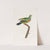 Les pigeons Pl.10 by Coenraad Jacob Temminck