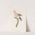 Les pigeons Pl.56 by Coenraad Jacob Temminck