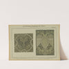 Les principaux ornaments des tissus jusqu&#8217;au XIXme siècle Pl.18 (1902) by Friedrich Fischbach