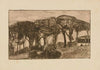 Les sapins (1893)