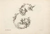 Letter E (1745-1765)