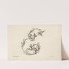 Letter E (1745-1765) by Mauro Poggi