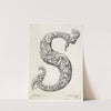 Letter S (1645-1650) by Jeremias Falck