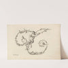 Letter U (1745-1765) by Mauro Poggi