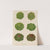 Lettuces – Cabbage Varieties (1876-1886) by Ernst Benary