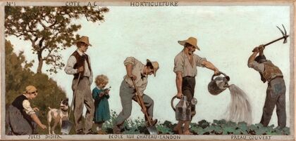 L’horticulture