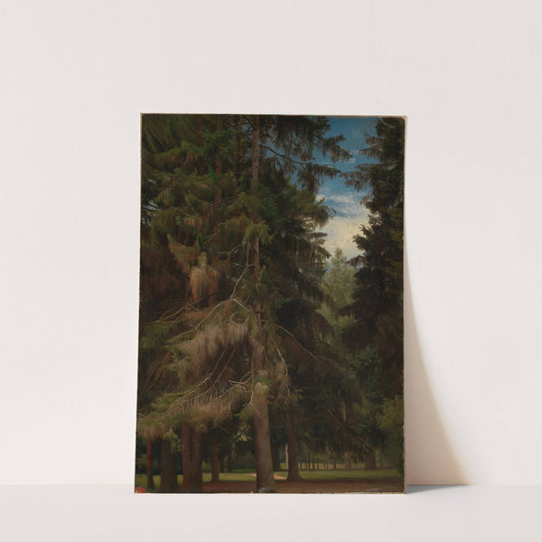 Lichtung im Tannenwald by Johann Wilhelm Schirmer