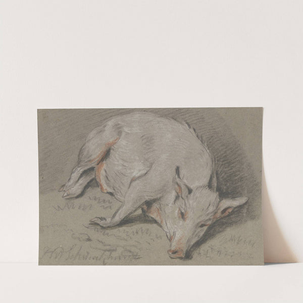 Liegendes Schwein by Hendrik Willem Schweickhardt