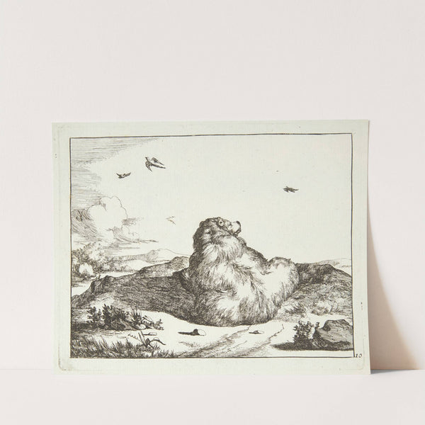 Liggende bjørn, set bagfra by Marcus de Bye