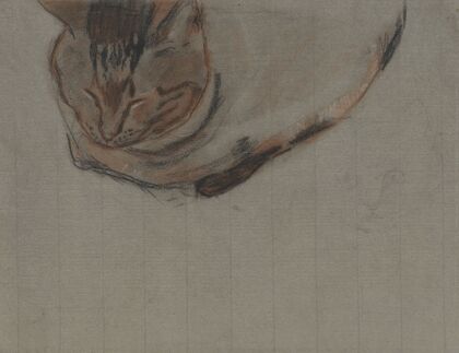 Liggende kat