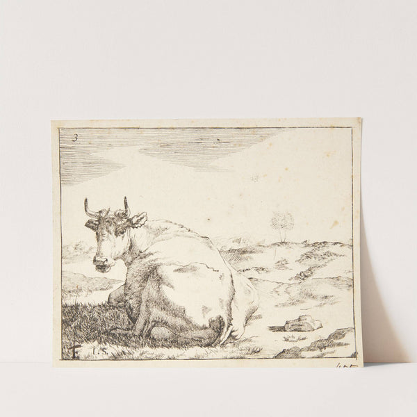 Liggende ko, set bagfra by Marcus de Bye