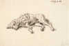Liggende puddelhund