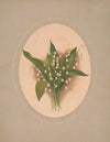 Lilies of the valley (1850-1880)