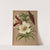 Lilium Brownii (1872-1881) by Arentina Hendrica Arendsen