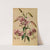 Lilium Speciosum Rubrum (1872-1881) by Arentina Hendrica Arendsen